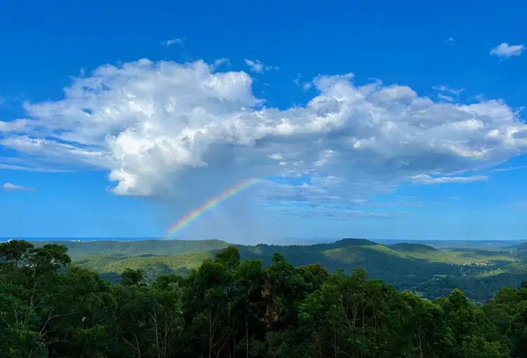 49 Macrozamia Drive., Tamborine Mountain QLD 4272