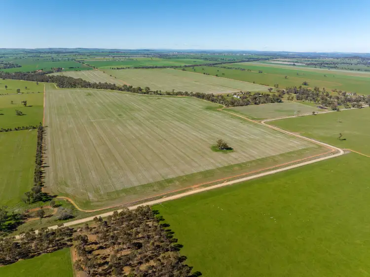 166 Mathews Road, Downside NSW 2650