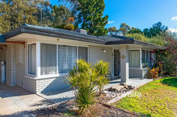 2784 Fourteenth Street, Irymple VIC 3498