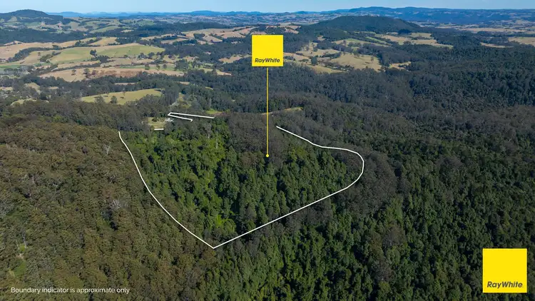 Fourth view of Homely rural property listing, 130 Wards Road, Dorrigo NSW 2453