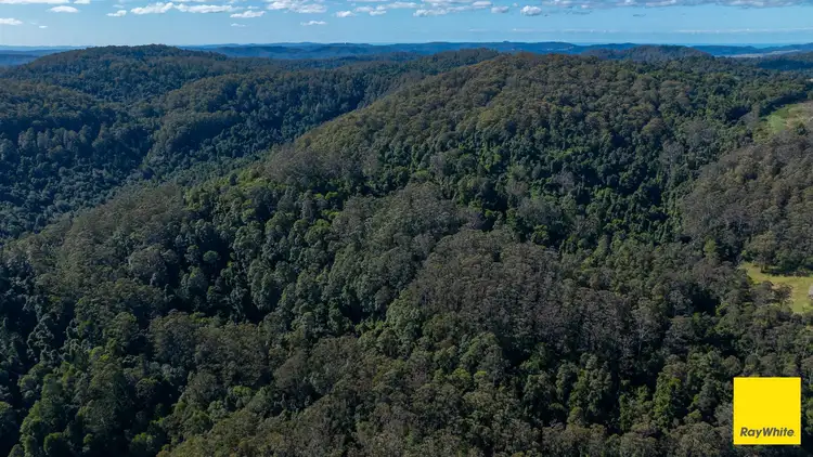 Fifth view of Homely rural property listing, 130 Wards Road, Dorrigo NSW 2453