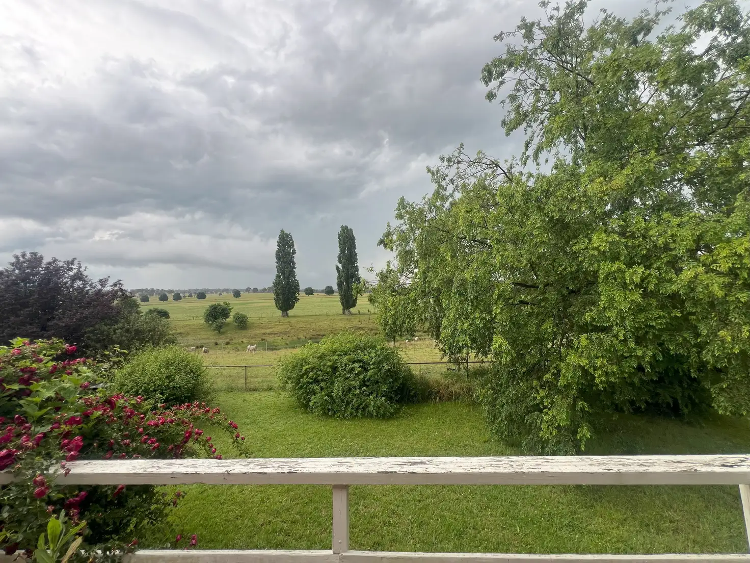 Main view of Homely house listing, 1/350 Brookside Road, Armidale NSW 2350