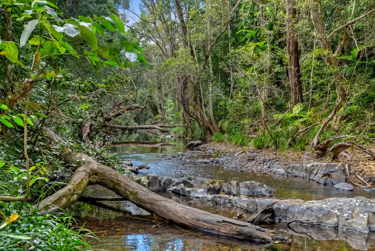 Second view of Homely house listing, 242 Ganyan Drive, Speewah QLD 4881