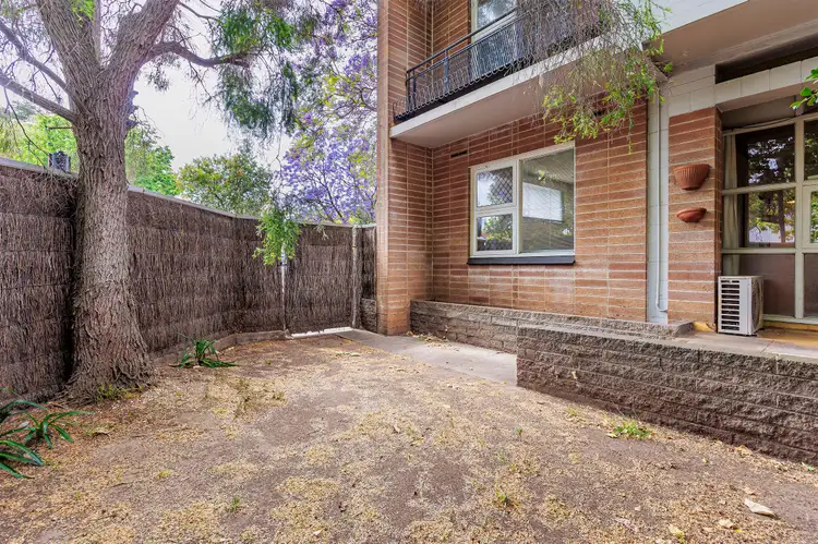 1/123 Cross Road, Hawthorn SA 5062