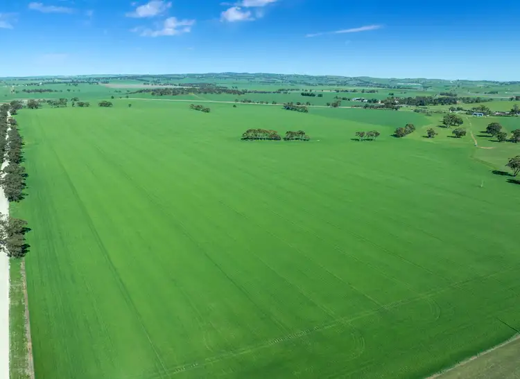 Second view of Homely rural property listing, 'Mitchell's' Slape Road, Riverton SA 5412