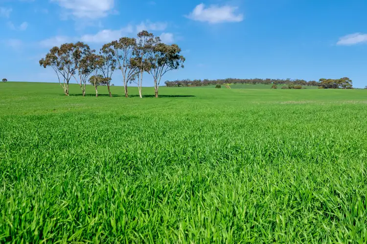 Third view of Homely rural property listing, 'Mitchell's' Slape Road, Riverton SA 5412