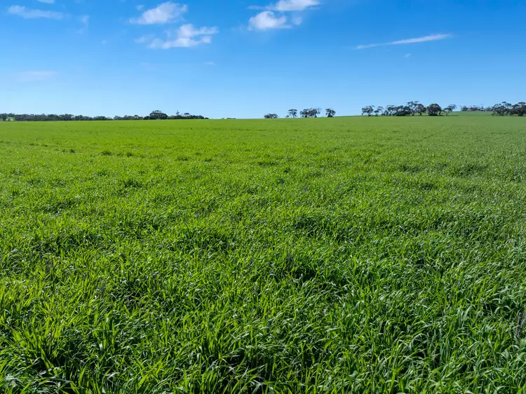 Fourth view of Homely rural property listing, 'Mitchell's' Slape Road, Riverton SA 5412