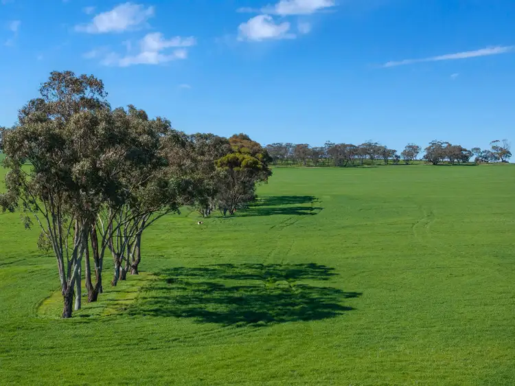 Fifth view of Homely rural property listing, 'Mitchell's' Slape Road, Riverton SA 5412