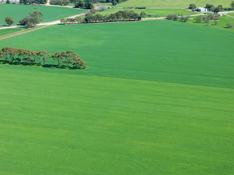 Sixth view of Homely rural property listing, 'Mitchell's' Slape Road, Riverton SA 5412