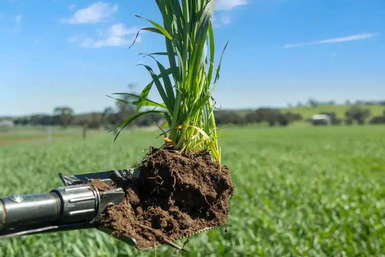 Seventh view of Homely rural property listing, 'Mitchell's' Slape Road, Riverton SA 5412