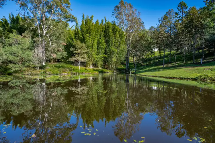 Fourth view of Homely rural property listing, 994 Laceys Creek Road, Laceys Creek QLD 4521