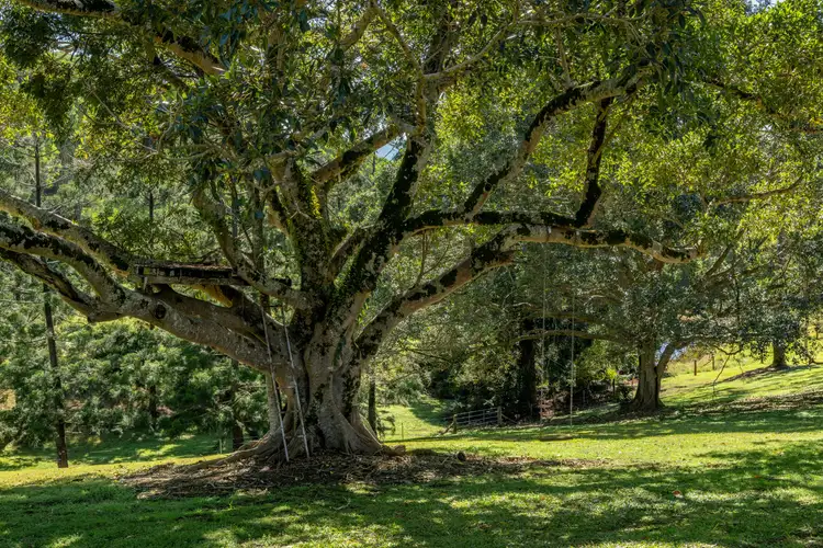 Fifth view of Homely rural property listing, 994 Laceys Creek Road, Laceys Creek QLD 4521