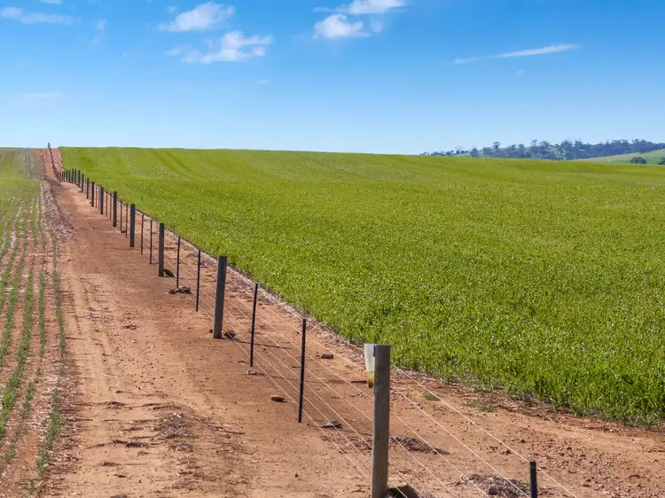 Sixth view of Homely rural property listing, 'Argyle Farm' Freebairn Road, Alma SA 5401