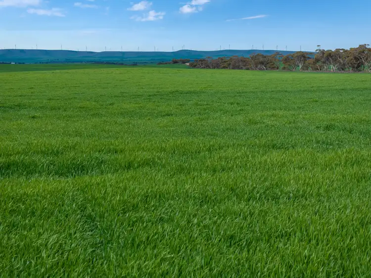 Fourth view of Homely rural property listing, 'Philby's' Garfield Road, Port Broughton SA 5522