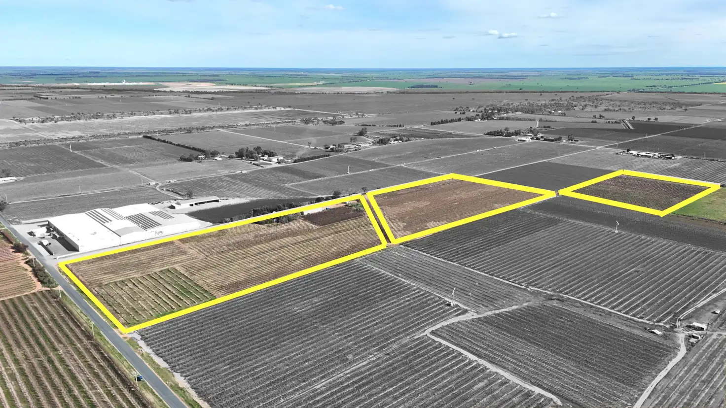 Main view of Homely rural property listing, 419 North South Road, Woorinen North VIC 3589