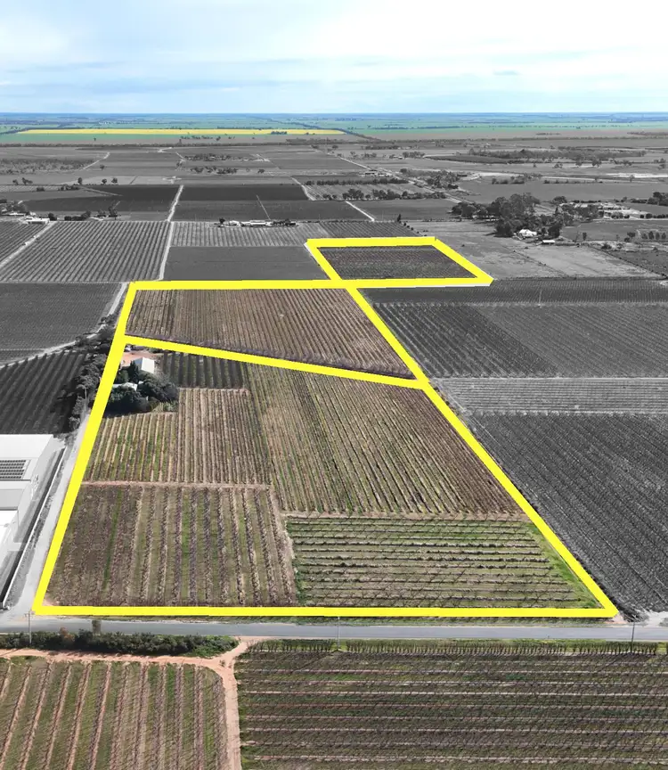 Second view of Homely rural property listing, 419 North South Road, Woorinen North VIC 3589