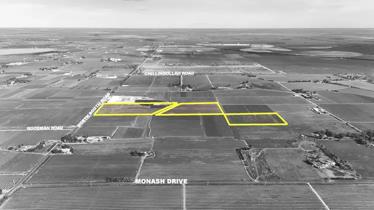 Third view of Homely rural property listing, 419 North South Road, Woorinen North VIC 3589