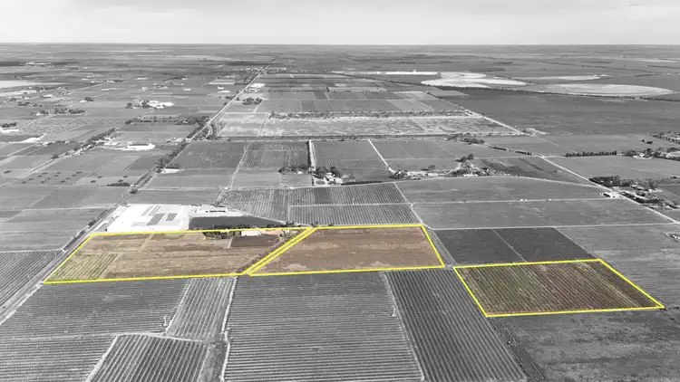 Fourth view of Homely rural property listing, 419 North South Road, Woorinen North VIC 3589