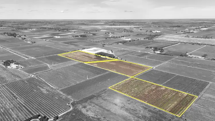 Fifth view of Homely rural property listing, 419 North South Road, Woorinen North VIC 3589