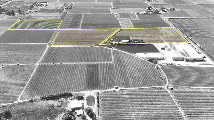 Sixth view of Homely rural property listing, 419 North South Road, Woorinen North VIC 3589