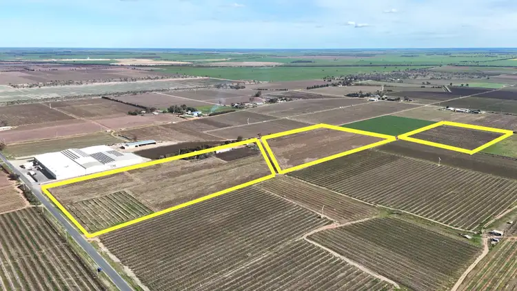 Seventh view of Homely rural property listing, 419 North South Road, Woorinen North VIC 3589