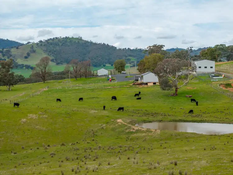 Second view of Homely rural property listing, 2543 Westbrook Road, Oberne Creek NSW 2650