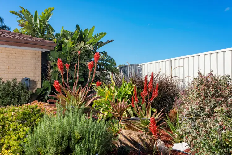 Fourth view of Homely house listing, 14 Goldsworthy Crescent, Spalding WA 6530
