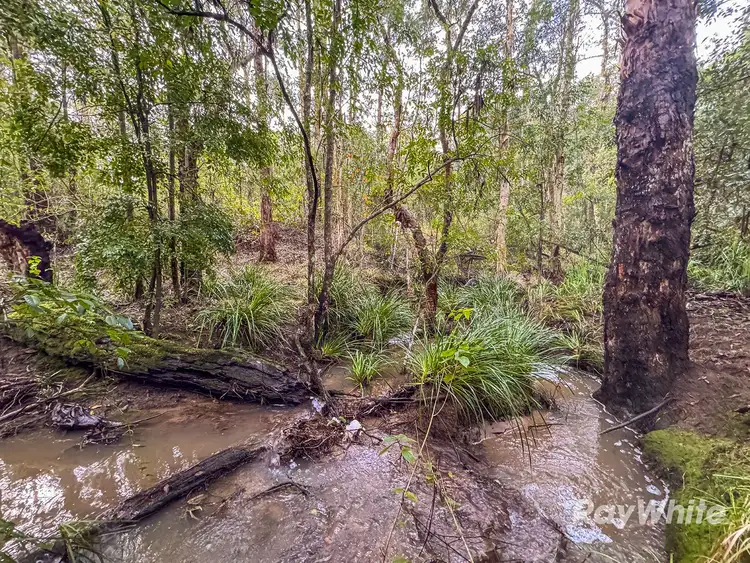 Fifth view of Homely rural property listing, 1 First Street, West Wallsend NSW 2286