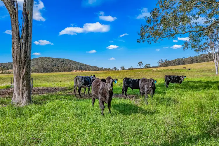 Third view of Homely rural property listing, 405 Dargavilles Road, Nabiac NSW 2312