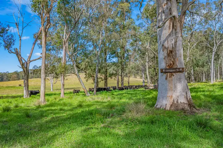Seventh view of Homely rural property listing, 405 Dargavilles Road, Nabiac NSW 2312
