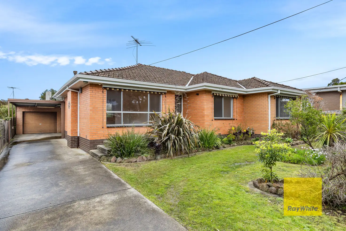 Main view of Homely house listing, 14 Fairfield Avenue, Belmont VIC 3216