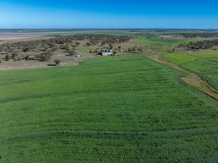 Main view of Homely rural property listing, 127 Flemings Road, Jondaryan QLD 4403