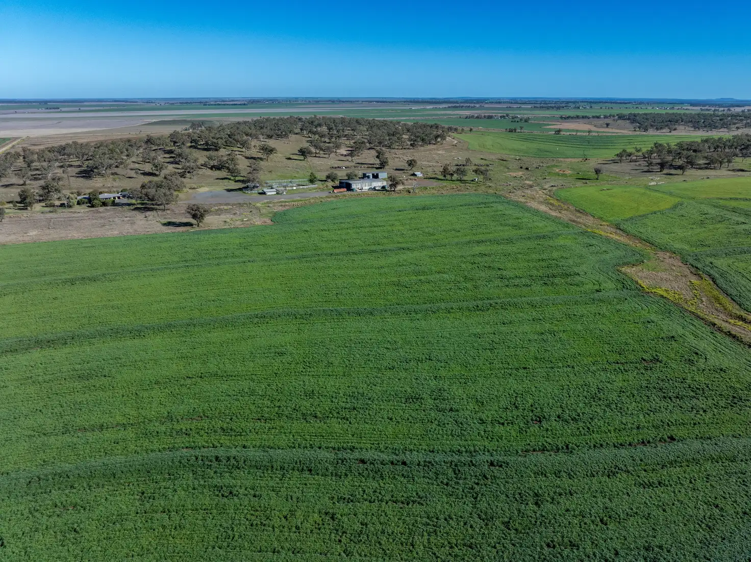 Main view of Homely rural property listing, 127 Flemings Road, Jondaryan QLD 4403