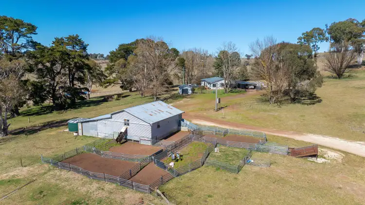 Fourth view of Homely rural property listing, 'Pine View' 821 Llangothlin Road, Guyra NSW 2365