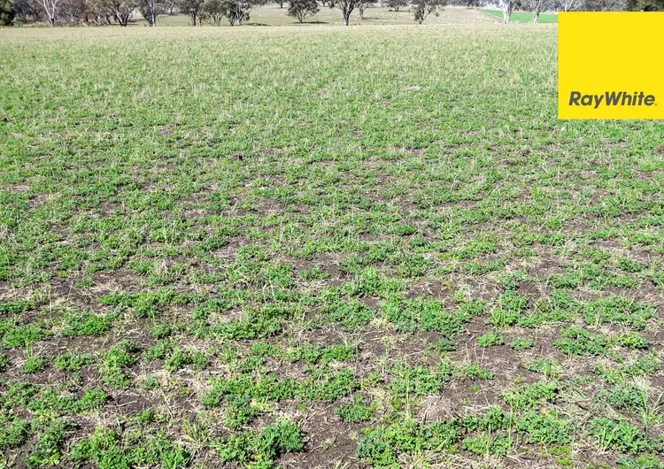 Sixth view of Homely rural property listing, 154 Delungra Bypass Road, Inverell NSW 2360