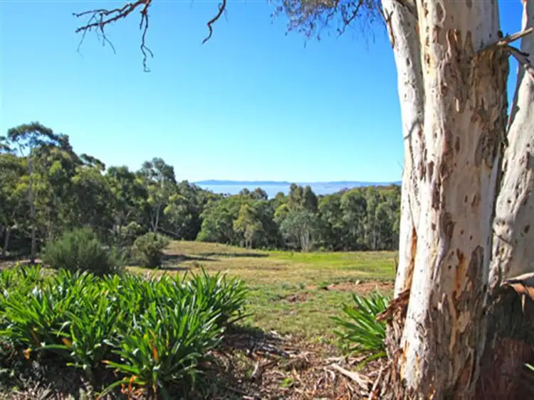 Third view of Homely house listing, 222 The Forest Rd, Bywong NSW