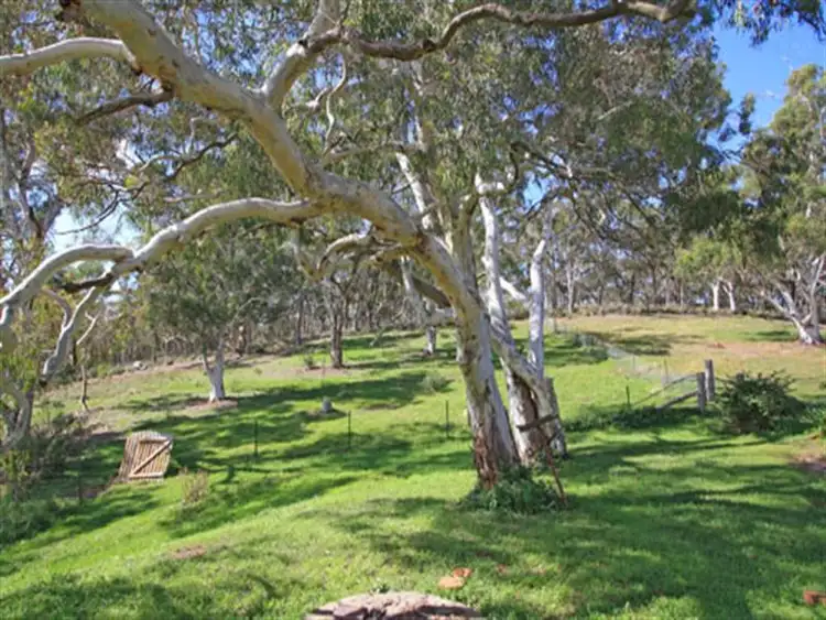 Seventh view of Homely house listing, 222 The Forest Rd, Bywong NSW