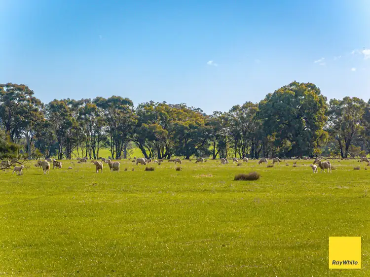 Fourth view of Homely rural property listing, 3269 Mcivor Highway, Knowsley VIC 3523