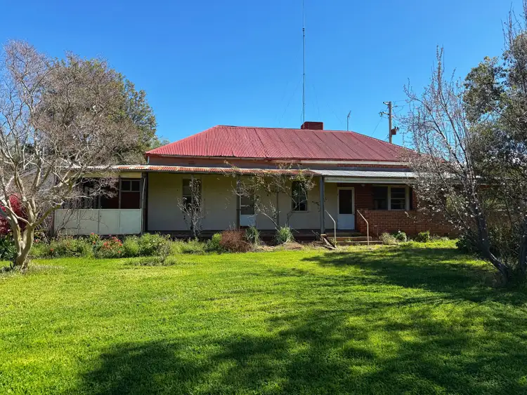 Sixth view of Homely rural property listing, "Wendouree" 2643 Back Trundle Road, Parkes NSW 2870