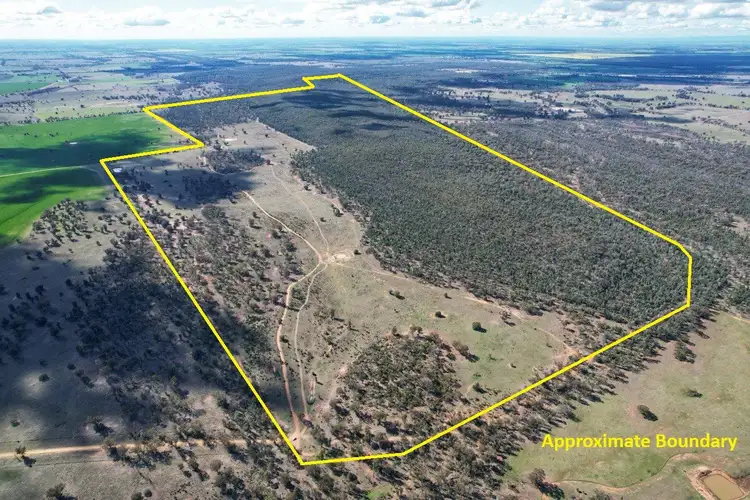 Second view of Homely rural property listing, 'Lesdale' Clonolly Lane, Trundle NSW 2875