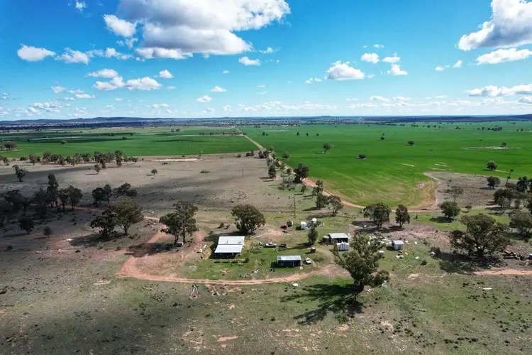 Fourth view of Homely rural property listing, 'Lesdale' Clonolly Lane, Trundle NSW 2875