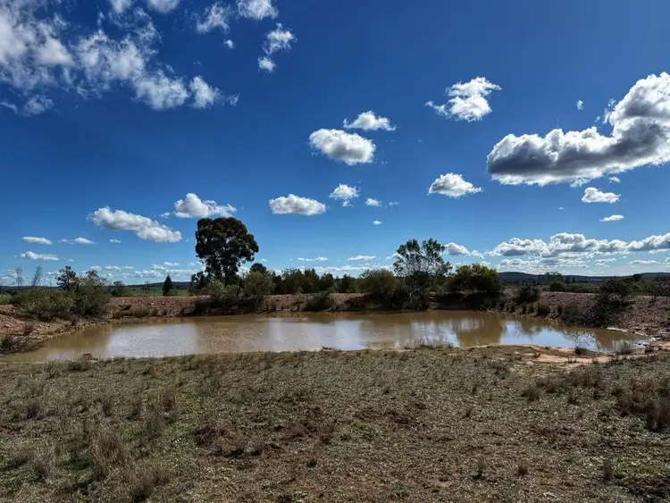 Fifth view of Homely rural property listing, 'Lesdale' Clonolly Lane, Trundle NSW 2875