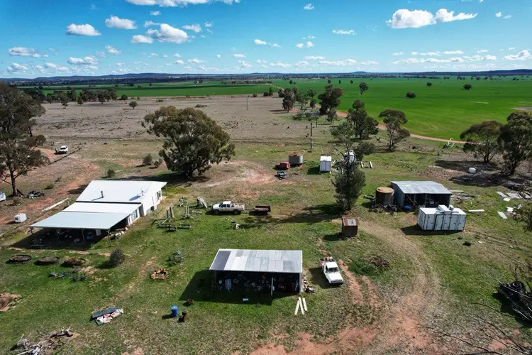 Fifth view of Homely rural property listing, 'Lesdale' Clonolly Lane, Trundle NSW 2875