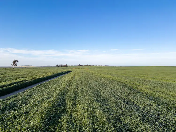 Fourth view of Homely rural property listing, Panoro, 18204 Albany Highway, Arthur River WA 6315