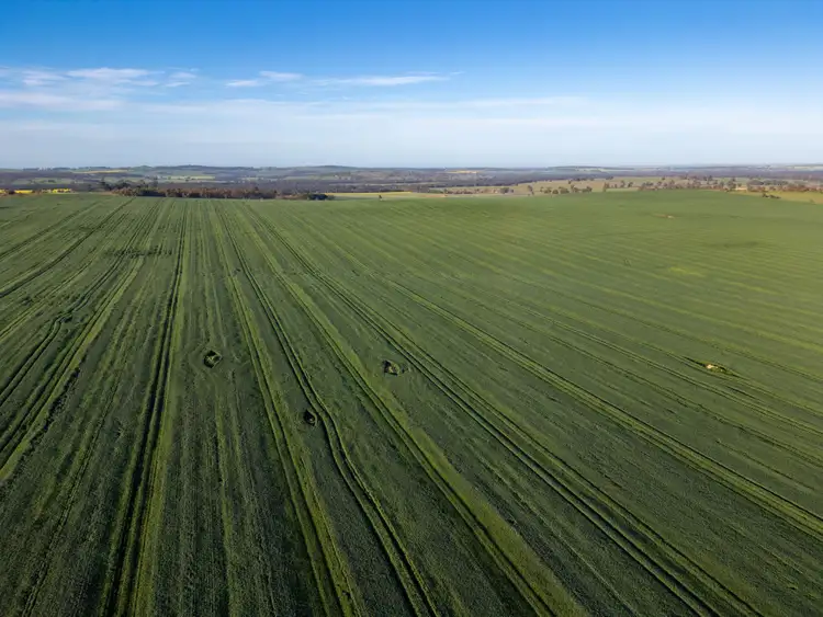 Fifth view of Homely rural property listing, Panoro, 18204 Albany Highway, Arthur River WA 6315