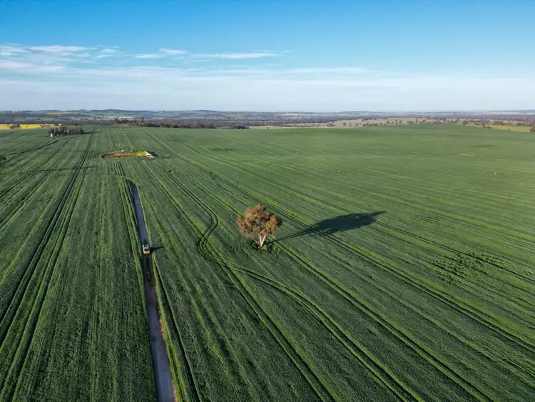 Seventh view of Homely rural property listing, Panoro, 18204 Albany Highway, Arthur River WA 6315