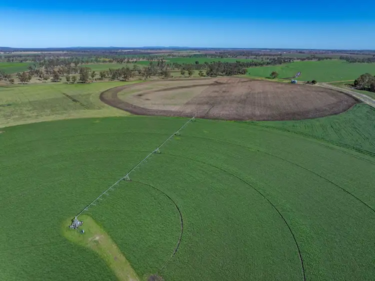 214 Booligar Road, Ellangowan QLD 4361