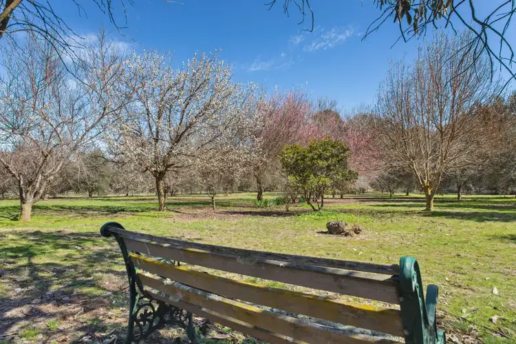 105 Wargeila Road, Yass NSW 2582