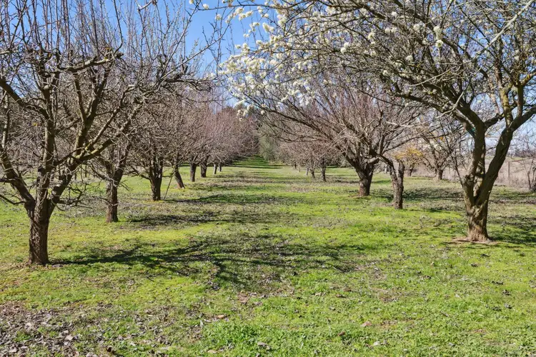 Fifth view of Homely rural property listing, 105 Wargeila Road, Yass NSW 2582