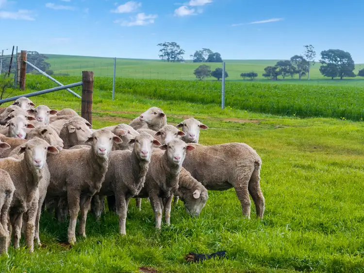 'Toringa' Toringa Road